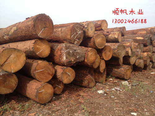 順?lè )? /></center>                            <table>
                                                            </table>
                            <br />
                            順?lè )緲I(yè)   原木均為大口徑落葉松，上等的選材為我們的產(chǎn)品提供了良好的質(zhì)量保證。<br /><br />
大口徑的木材 讓我們可以為您制作大承重的木制托盤(pán)及包裝箱和各種木制品。<br /><br />
因為專(zhuān)注，所以專(zhuān)業(yè)。 順?lè )緲I(yè)秉承著(zhù)合作共贏(yíng)的理念，期待與您的合作<br /><br />
順?lè )b，助您順?lè )h航！<br /><br /><br/>　　公司長(cháng)年對外承接木包裝、木托盤(pán)、木器具、木制品等相關(guān)業(yè)務(wù)。
                        </div>
                              
                         <div   id=